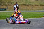 DSC_ (1481)